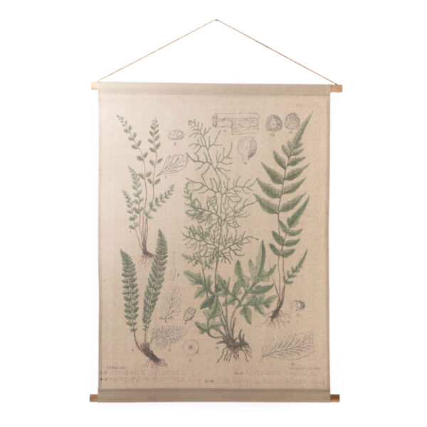 Kakemono Botanique 95X75 -